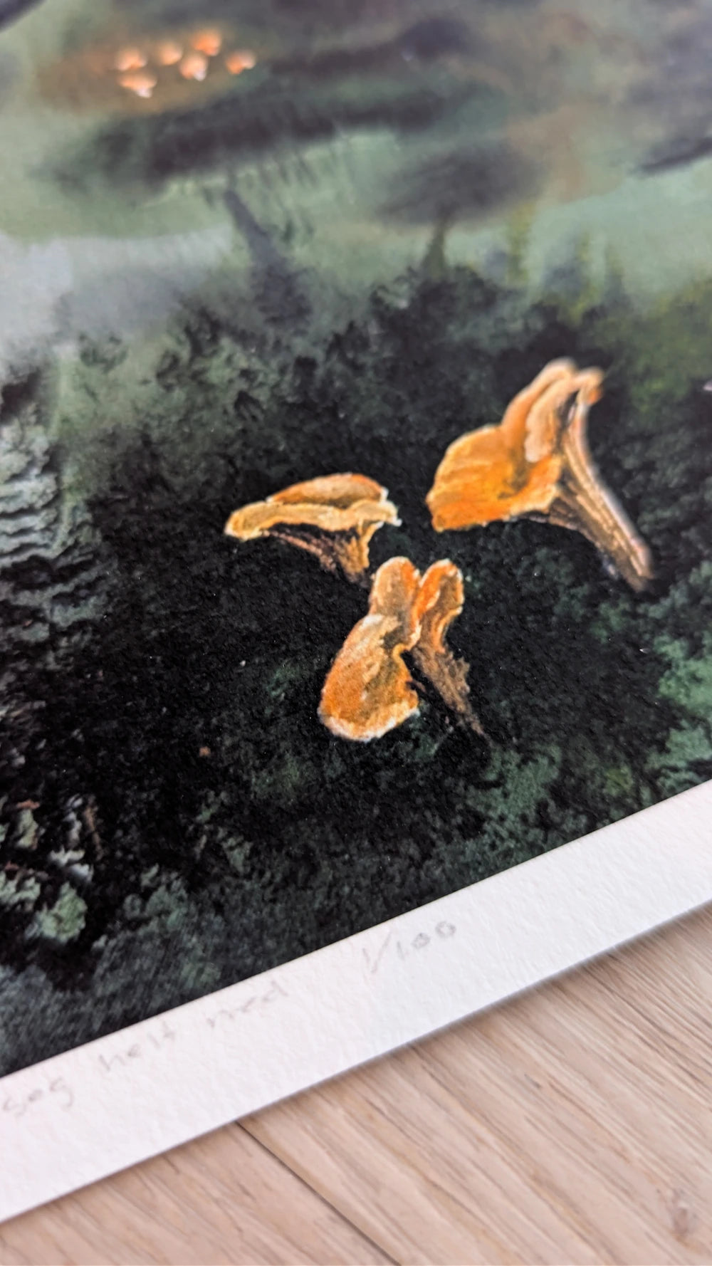 detlajer fra kunstplakat, kantareller i grønn skog