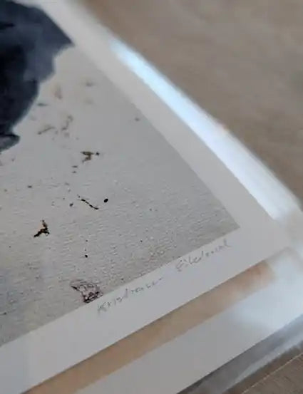 Kunsttrykk: Å finne en stein