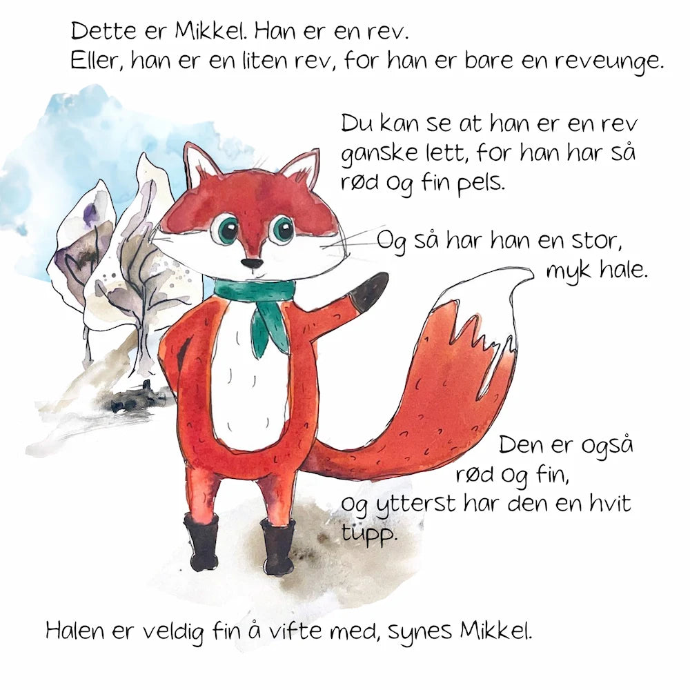 Barnebok: Lille Mikkel og Nissen